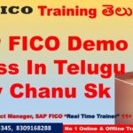 SAP FICO Demo Class In Telugu