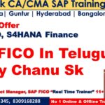 SAP FICO In Telugu